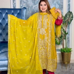 Stitch dress Soft Georgette fabrics